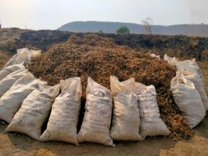 Read more about the article हळद पीक बाजारात आल्यानंतर हळदीला सुद्धा अल्पभाव शेतकऱ्यावर कोसळले आर्थिक संकट हळदीला योग्य भाव मिळाला पाहिजे: ज्ञानेश्वर चव्हाण युवा शेतकरी नेते जि. प.निंगनुर सर्कल