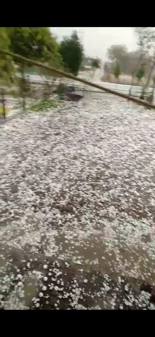 Read more about the article उमरखेड तालुक्यातील मेट   गारांचा खच! ,शेतकऱ्यांचे प्रचंड नुकसान