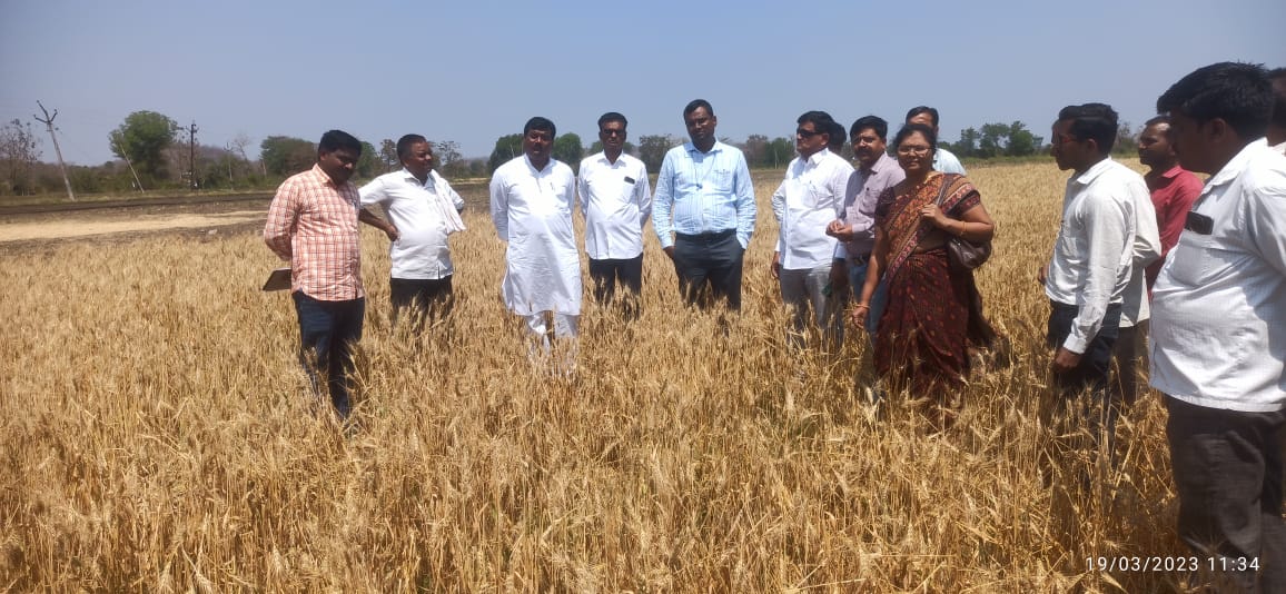 Read more about the article अवकाळी गारपिटीने झालेल्या नुकसानीची आकोली येथे आमदार नामदेव ससाने यांनी केली पाहणी