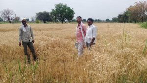 Read more about the article गारपीटग्रस्त गांजेगाव आणि सिंदगी शेतशिवारातील स्थळ निरीक्षणाचे काम शासकीय यंत्रणे राबवले आघाडीवर