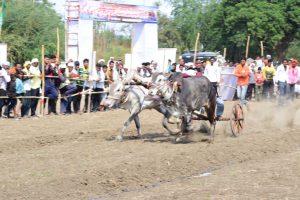 Read more about the article राळेगाव तालुक्यातील जनतेने अनुभवला पटाचा थरार, प्रशांत तायडे मित्रपरिवारां तर्फे आयोजन