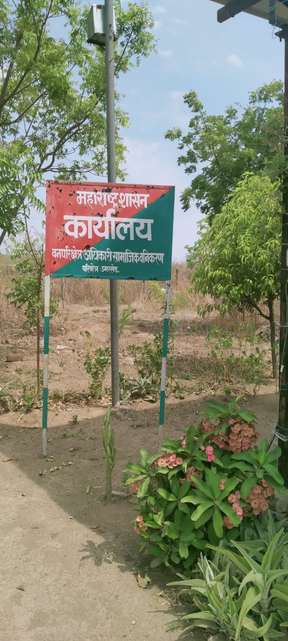 Read more about the article उमरखेड .सामाजिक वनीकरण विभाग यवतमाळ यांच्याकडून इ वर्ग जमिनीवर वृक्ष लागवड करून ग्रामपंचायत धानोरा यांना हस्तांतरण