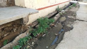 Read more about the article धानोरा गावामध्ये घाणीचे साम्राज्य ग्रामपंचायतला पडला साफसफाईचा विसर