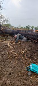 Read more about the article <em>कोरपना तालुक्यात वादळी पावसाचा तडाखा : झाड कोसळून महिलेचा मृत्यू</em>