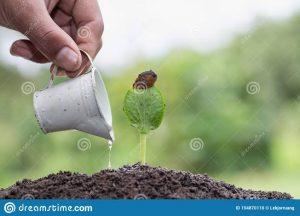 Read more about the article पीक वाचवण्याची शेतकऱ्यांची धडपड सुरू