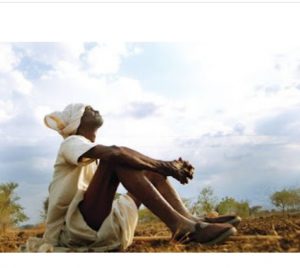 Read more about the article पावसाच्या प्रतीक्षेत शेतकऱ्याच्या डोळ्यात आले पाणी दिवसेंदिवस शेतकरी चिंता ग्रस्त