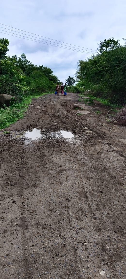 Read more about the article <em>बोपापुर ते चीचघाट रस्त्याची अवस्था दयनीय</em>