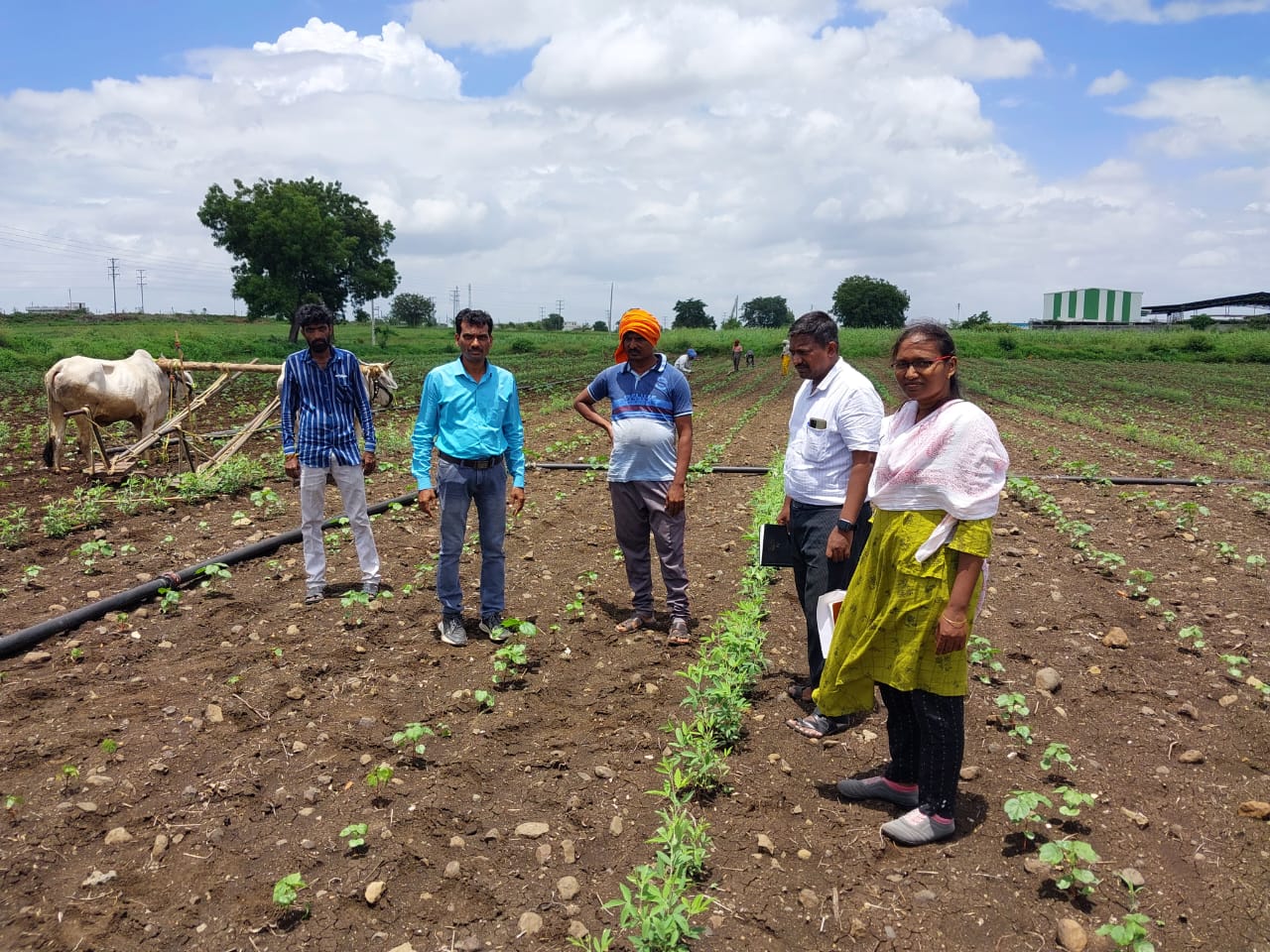 Read more about the article तक्रारींचे निवारण करण्याकरिता कृषी अधिकारी शेतीच्या बांधावर