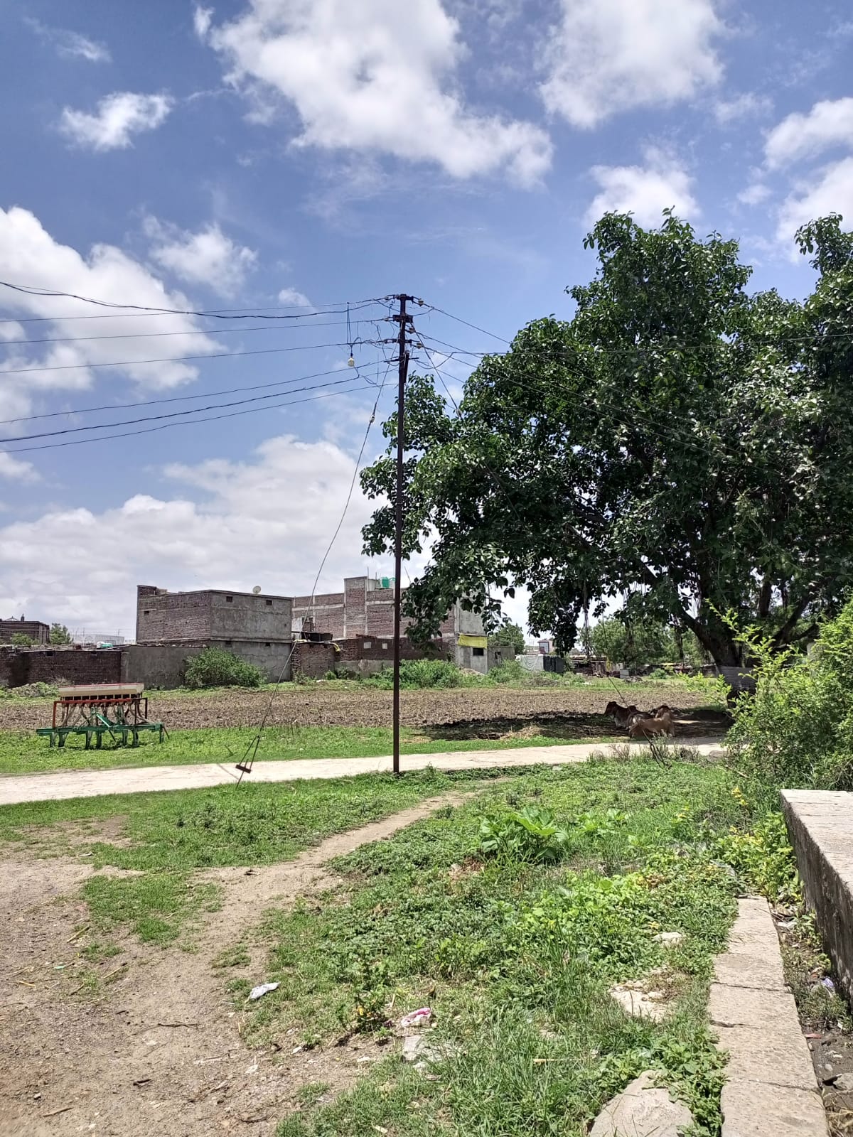 Read more about the article प्रभाग क्रमांक सहा येथील गेली कित्येक दिवसापासून खांबावरील पथदिवे बंद अवस्थेत,. (ढाणकी नगरपंचायत व लोकप्रतिनिधीचे दुर्लक्ष)