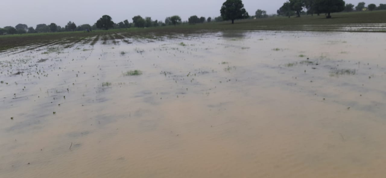 Read more about the article बेंबळा कालव्याच्या नियोजन शून्य खोदकामामुळे शेतकऱ्याच्या शेतात पाणी<br>(कोच्ची गट क्रमांक ५५/१, ५५/२, ५५/३ चे शेतात पाणी, शेतकऱ्यांनी केली नुकसान भरपाईची मागणी)