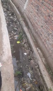 Read more about the article आरंभी ग्रामपंचायतमध्ये रस्त्यावर रस्त्याचे व नालीवर नालीचे बांधकाम करून अपहार,दोषींवर कार्यवाहीची मागणी; ग्रा. पं. सदस्याची तक्रार