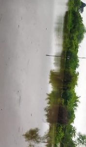 Read more about the article <em>अतिवृष्टीमुळे पैनगंगा नदी पात्राच्या काठी असलेल्या शेतीचे अतोनात नुकसान</em>