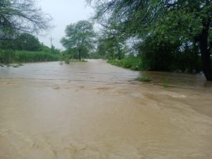 Read more about the article ढाणकी परिसरात पावसाचा धुमाकूळ सतत पडत असलेल्या पाण्यामुळे नदी आणि नाले तुडुंब