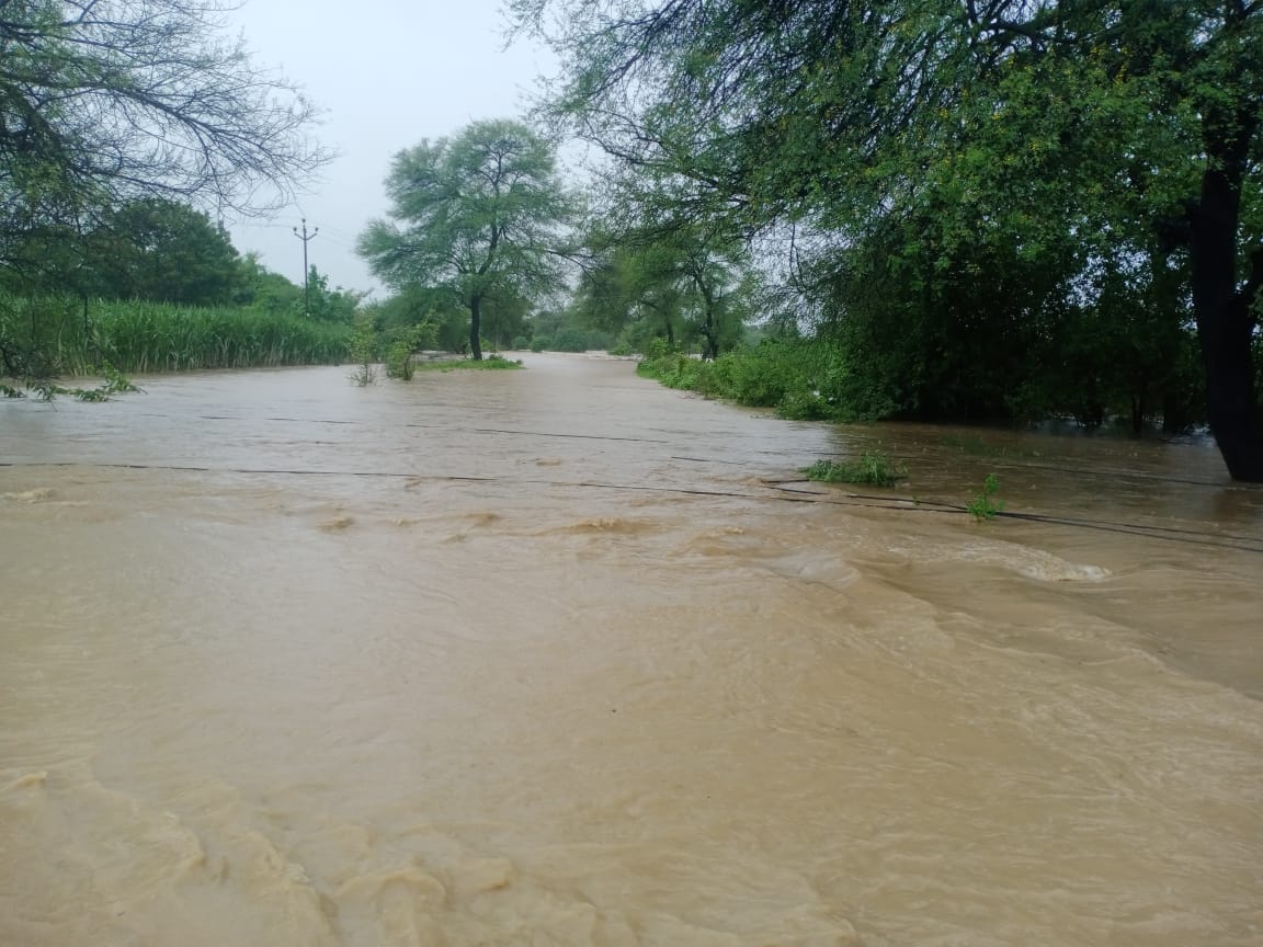 Read more about the article ढाणकी परिसरात पावसाचा धुमाकूळ सतत पडत असलेल्या पाण्यामुळे नदी आणि नाले तुडुंब