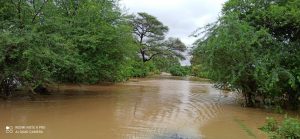 Read more about the article आठरी नाल्यावर नवीन पूल करण्याची जंगल भागातील नागरिकांची मागणी