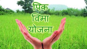 Read more about the article पिक विम्याचे अनुदान थेट शेतकऱ्यांना द्यावे