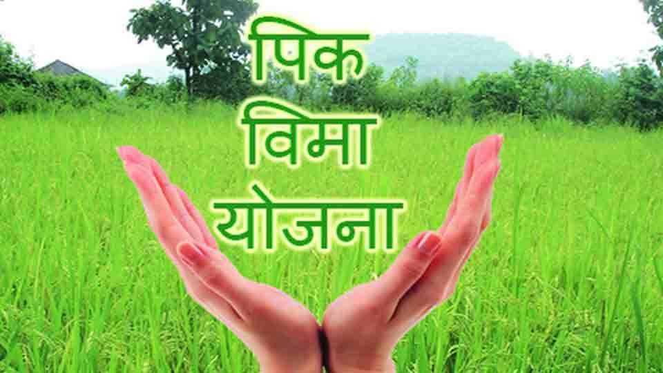 Read more about the article पिक विम्याचे अनुदान थेट शेतकऱ्यांना द्यावे
