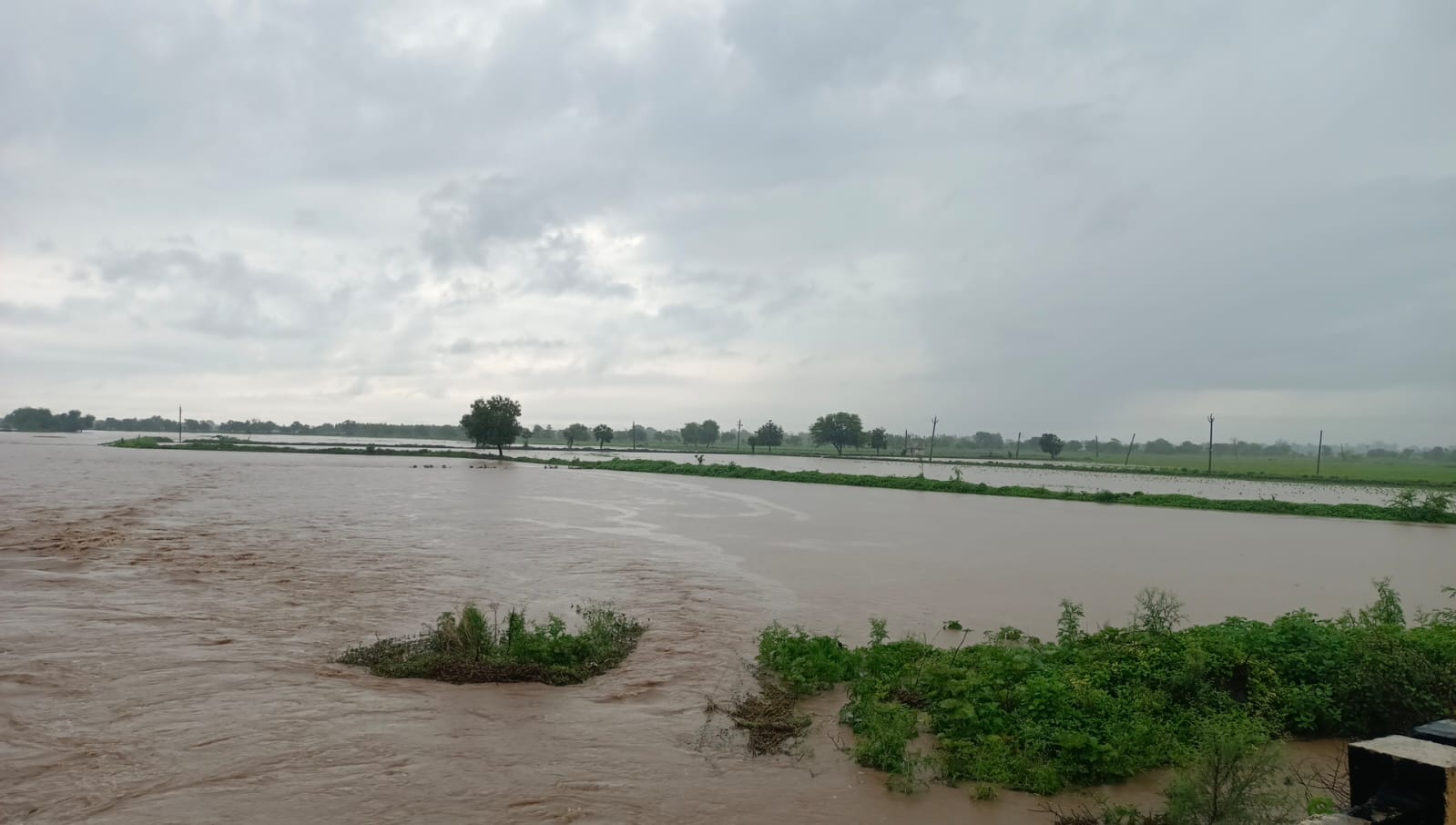 Read more about the article तूम्ही येथे राजकारण करत आहे का?…<br>आमदार बांधावर ?<br>अतिवृष्टीग्रस्त शेतकऱ्यांना आमदारां चा सवाल?