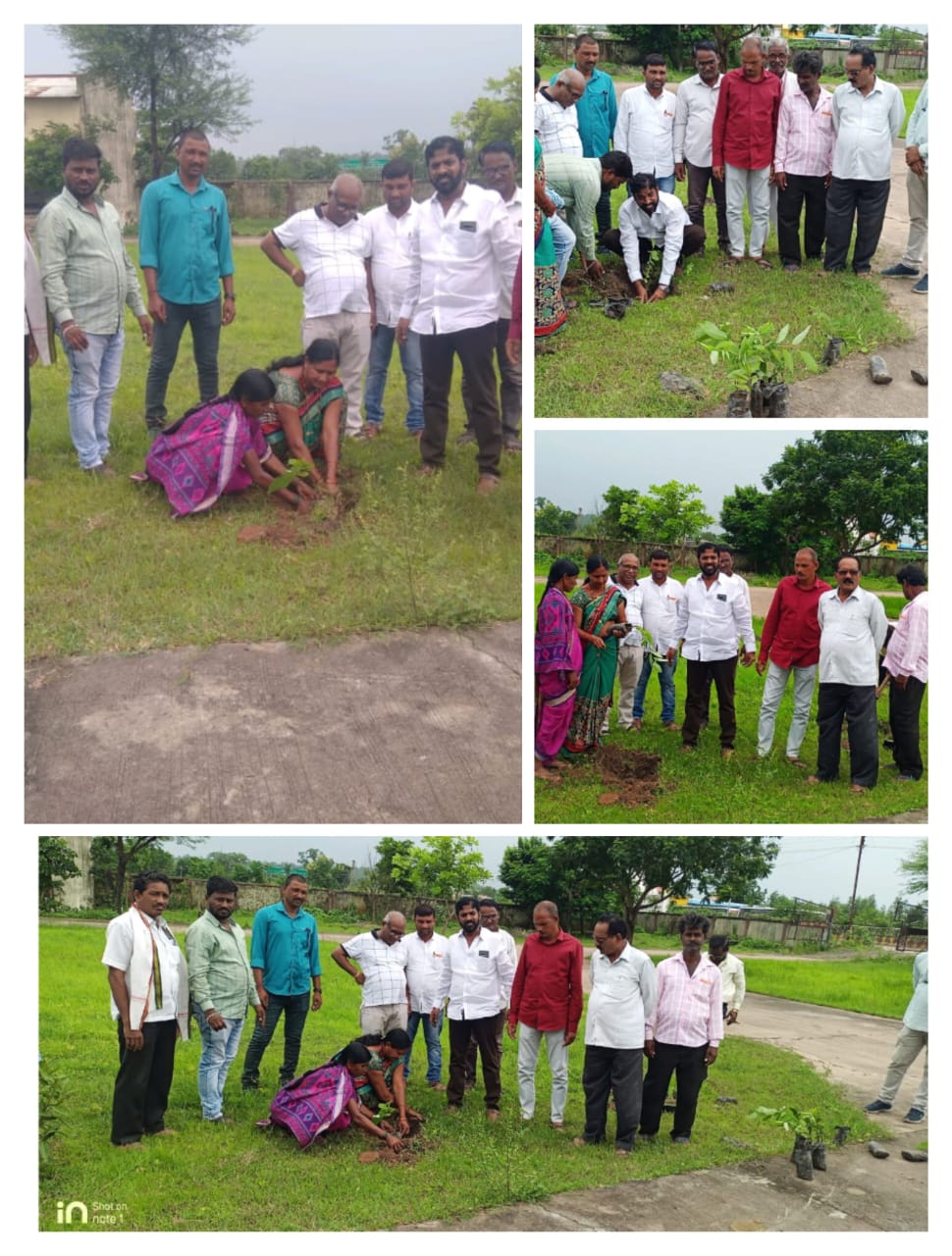 Read more about the article पोंभूर्णा कृषी उत्पन्न बाजार समितीच्या आवारात वृक्षारोपण
