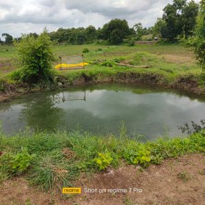 Read more about the article <em>अनंतवाडी येथील बेपत्ता मुलीचा मृतदेह विहिरीत आढळला</em>