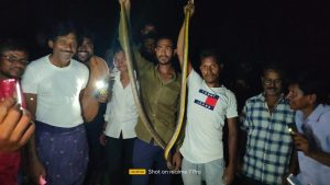 Read more about the article फूलसावंगी येथील सर्प मित्राने दिले दोन सापाला जीवदान