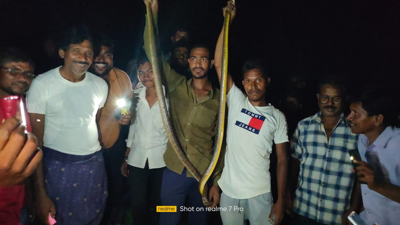 Read more about the article फूलसावंगी येथील सर्प मित्राने दिले दोन सापाला जीवदान