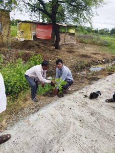 Read more about the article राळेगाव तालुक्यातील धानोरा येथे स्मशानभूमी परिसरात वृक्षारोपण