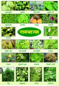 Read more about the article तणनाशकाच्या वापरामुळे शेतातील रानभाज्या नामशेष