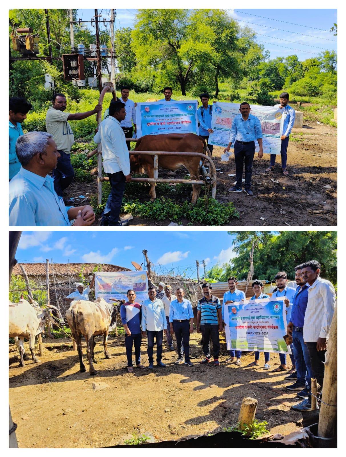 Read more about the article पशुवैद्यकीय दवाखाना श्रेणी 1 राळेगाव यांचा लसीकरण शिबिरात कृषी विज्ञान महाविद्यालयीन विद्यार्थ्यांचा सहभाग व जनजागृती मोहीम