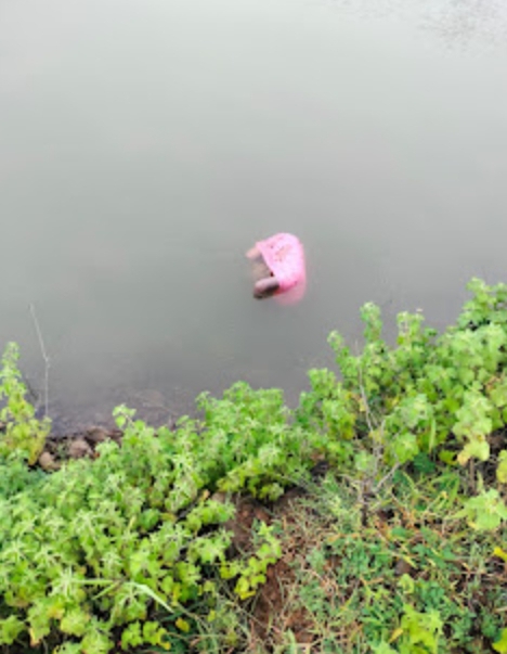 Read more about the article डोलामाईट गिट्टी खदाणीत अनोळखी महिलेचा मृतदेह