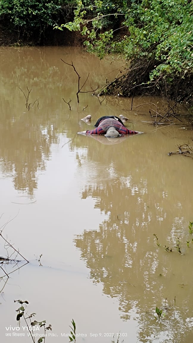 Read more about the article गोडगाव शेतशिवारात आढळला अनोळखी मृतदेह