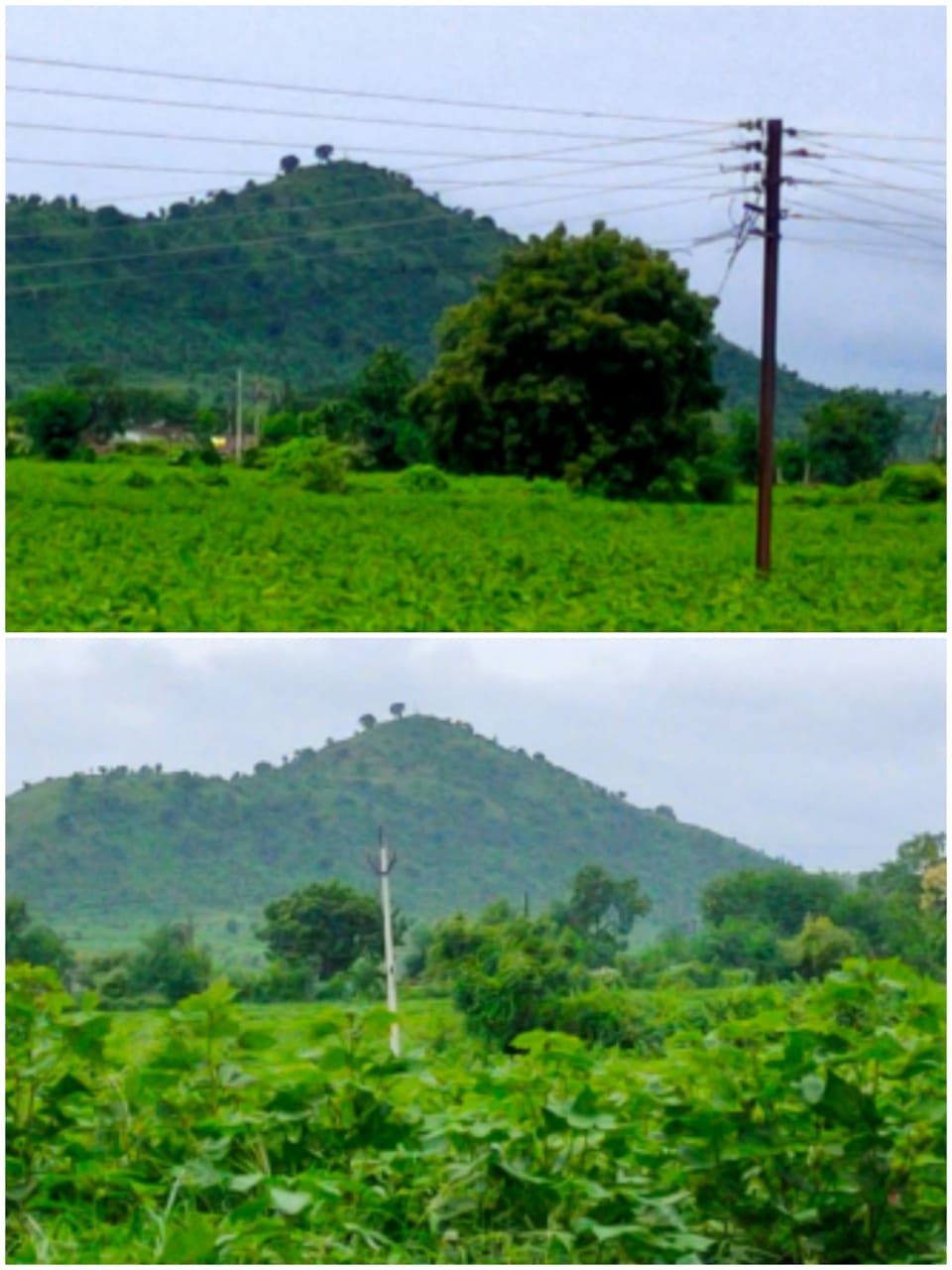 Read more about the article <em>हिरवाईने नटला लखमाई माता मंदिर गड</em>