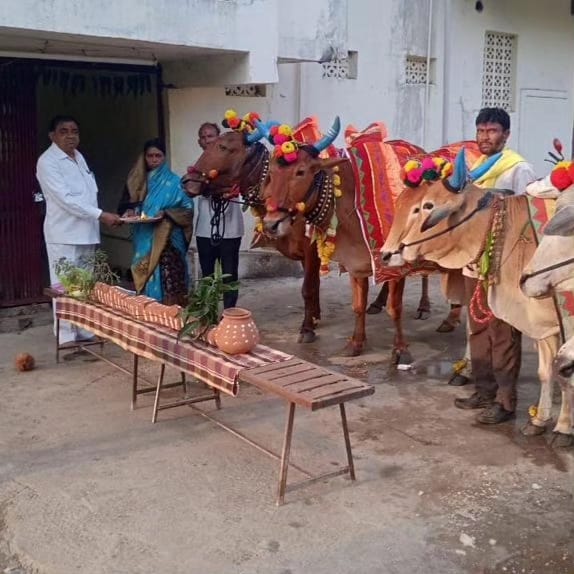 Read more about the article बैल पोळ्याच्या झडत्यांमधून राजकीय फैरी सरकार विरोधी झडत्यांची सोशल मीडियावर धूम…