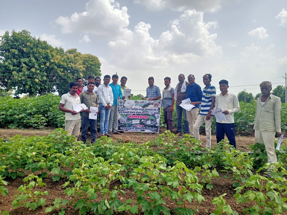 Read more about the article सोनुर्ली येथे कृषी विभागा मार्फत शेतीशाळा संपन्न