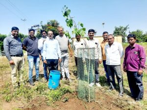 Read more about the article माझी वसुंधरा अभियानांतर्गत कळंब येथे वृक्षारोपण