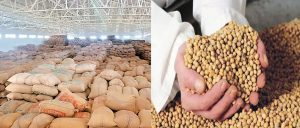 Read more about the article शेतकऱ्यांनो ढाणकी शहरात माल विकायला आणत आहात  तर शेतकऱ्यांना कट्टी काटा धारा व नियम मान्य करावा लागेल