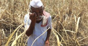 Read more about the article पावसाने आणले शेतकऱ्याच्या डोळ्यात पाणी