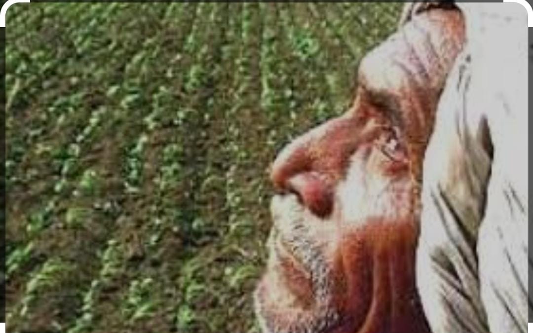 Read more about the article <em>जगण्याचे गणितच बिघडले</em><br><em>अवकाळी ने आणले डोळ्यात पाणी</em> <em>कारभारणीचे सोने ही गहाण</em>