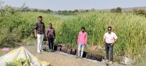 Read more about the article फुलसावंगी येथे<br>हातभट्टी दारू अड्ड्यावर छापा, एक अटकेत<br>जुगारा वर कारवाई ऐवज जप्त