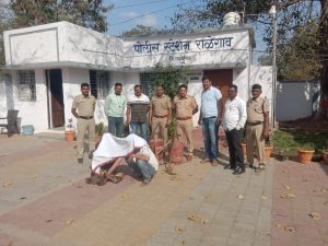 Read more about the article कोंबड्या चोराला राळेगाव पोलिसांकडून अटक