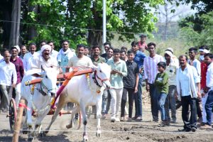 Read more about the article आमदार डॉ. प्रा. अशोक उईके यांच्या उपस्थितीत शंकर पटाचे बक्षिस वितरण