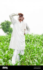 Read more about the article <em>घामाचे व्हावे मोती खरे शेतात पाजरू दे अमृताचे झरे</em><br><em>येरे येरे पावसा; ढगाची गर्दी पण पावसाचा पत्ताच नाही</em> <em>सर्वच्या नजरा आकाशाकडे</em>