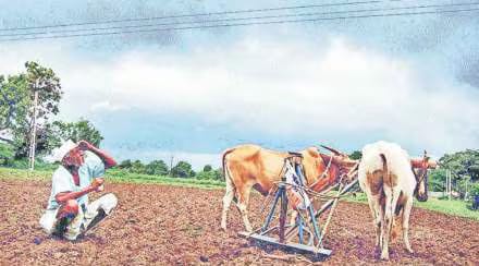 Read more about the article <em>पावसा अभावी कपाशी जमिनीतून अंकुरण्यापूर्वीच करपण्याचा धोका</em> <em>पावसाच्या दडीने बळीराजा चिंतातूर</em><br><em>शेतकऱ्यांच्या काळजाची धडधड वाढली</em>