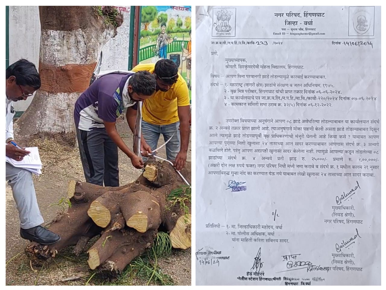 Read more about the article अवैध वृक्षतोड करणे पडले लाखोच्या घरात ,  वृक्षमित्र परिवाराच्या निवेदनाची जिल्हाधिकाऱ्यांनी घेतली दखल