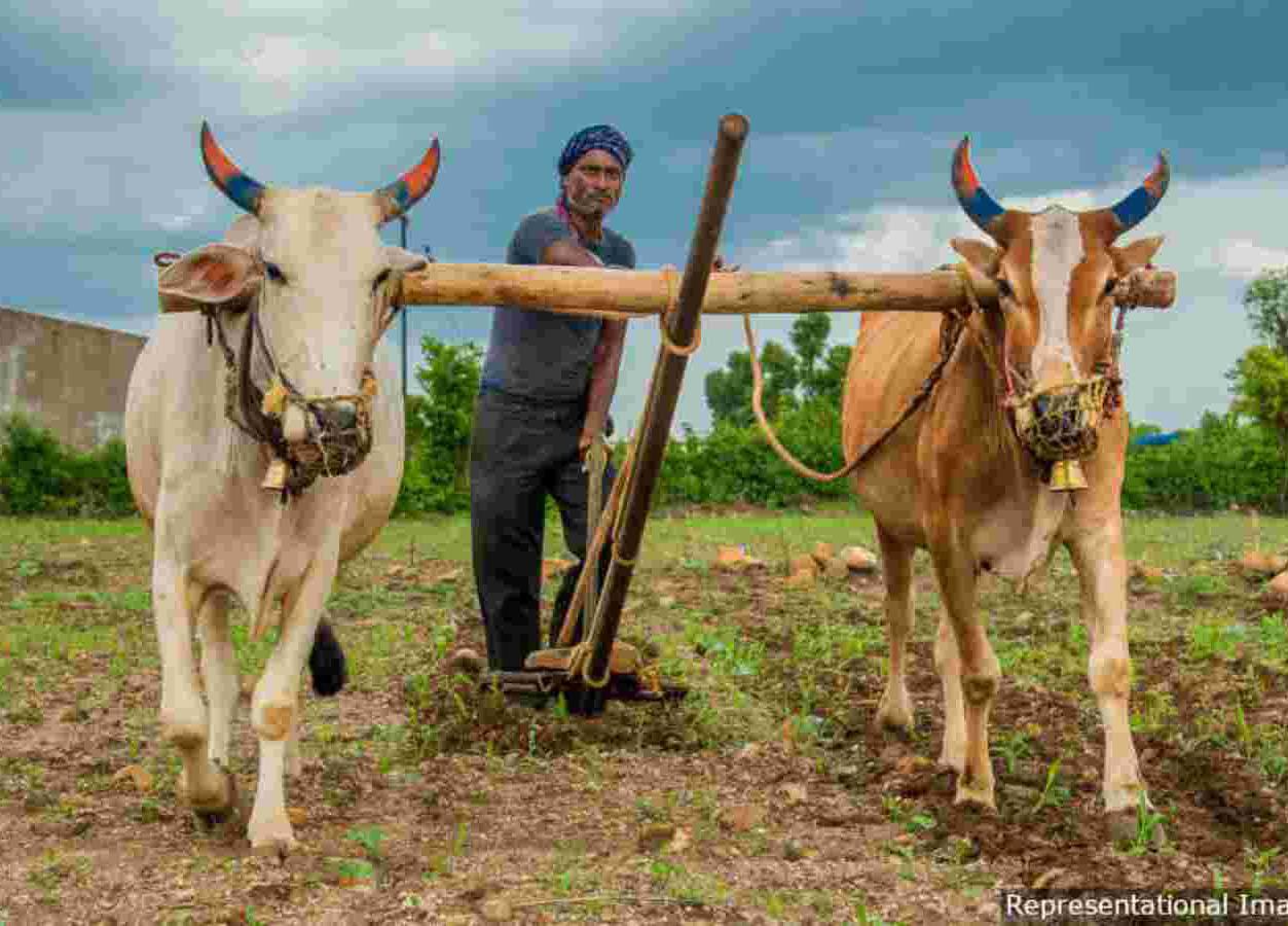 Read more about the article <em>कर्जमाफी पासुन वंचीत शेतकऱ्यांना न्याय दया</em><br>( कर्जमाफीस पात्र मात्र लाभ नाही,जिल्हाधिकारी यांना निवेदन)