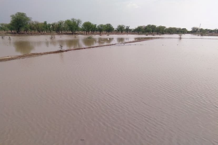 Read more about the article दोनशे एकर जमीन पडीत राहणार?, अतिवृष्टी आलेल्या पुराने केले नुकसान कायमस्वरूपी उपाय योजना करण्याची शेतकऱ्यांनी केली मागणी