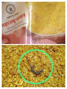 Read more about the article धक्कादायक: अंगणवाडीच्या पोषण आहारात ( खिचडी ) मिळाली पाल,पोषण आहाराणेच आरोग्य धोक्यात