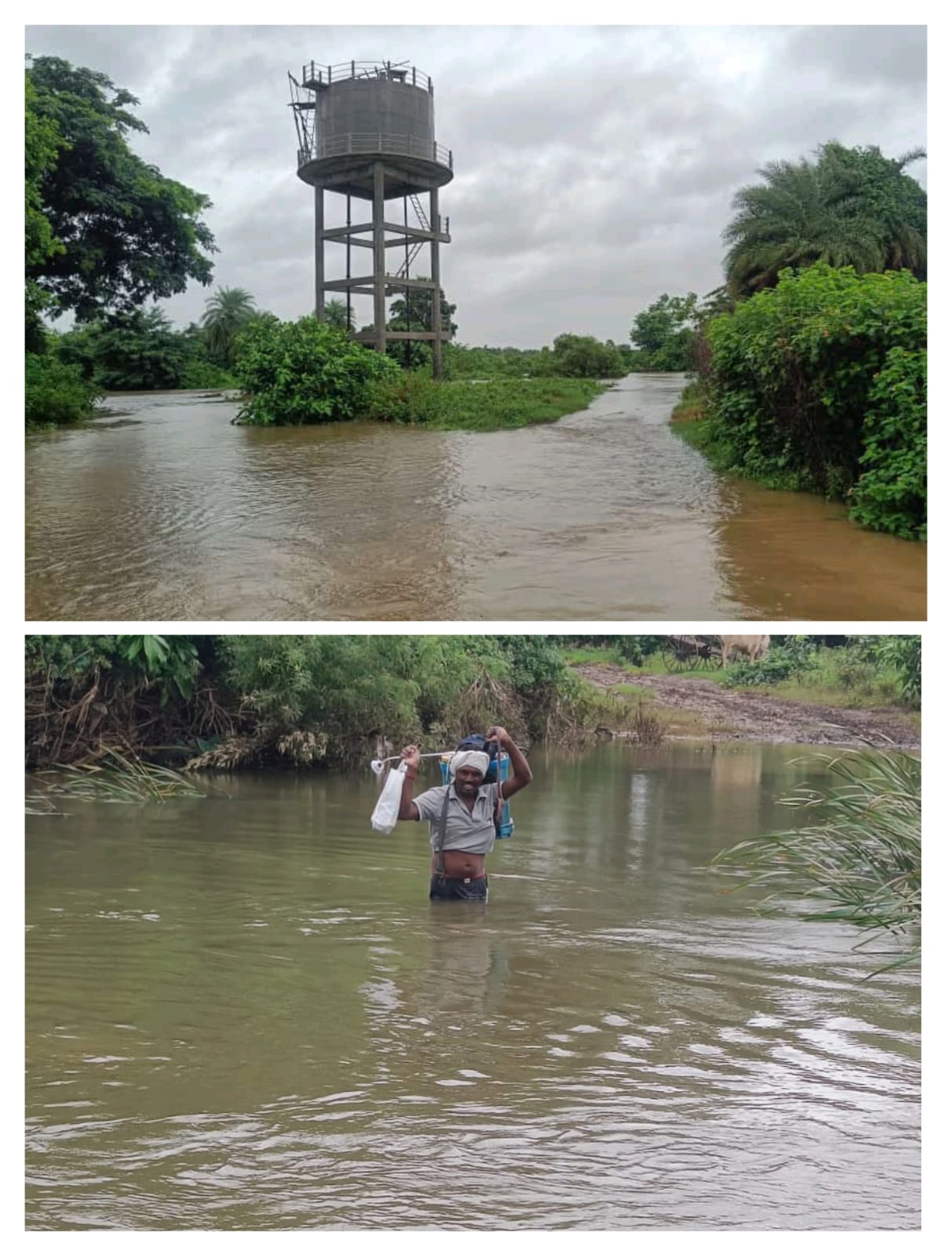 Read more about the article वरुडवासी  अनेक समस्यांनी हैराण, नवनिर्वाचित खासदारांनी तरी समस्या सोडविण्यासाठी प्रयत्न करावे : श्रावनसिंग वडते