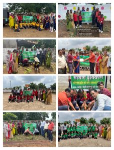 Read more about the article स्कुल ऑफ ब्रिलिएंट येथे सहयोग मल्टीस्टेट शाखे कडून करण्यात आले वृक्षारोपण