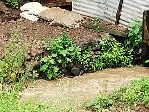 Read more about the article वडगाव प्रभाग क्रमांक सहा मध्ये  पावसाचे पाणी  नागरिकांच्या घरात